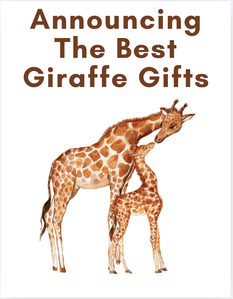 Announcing The Best Giraffe Gifts