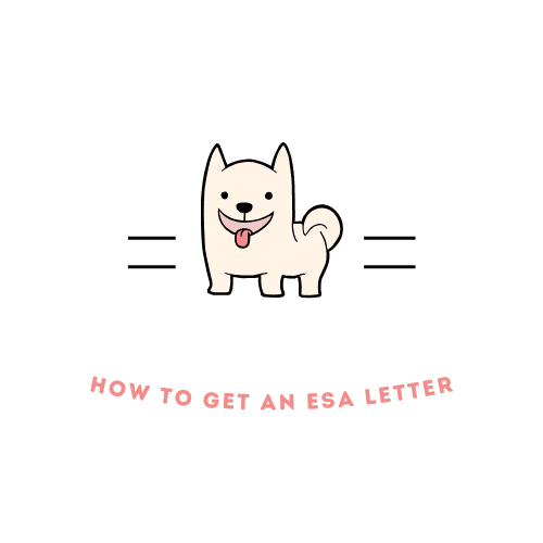 How To Get An ESA Letter