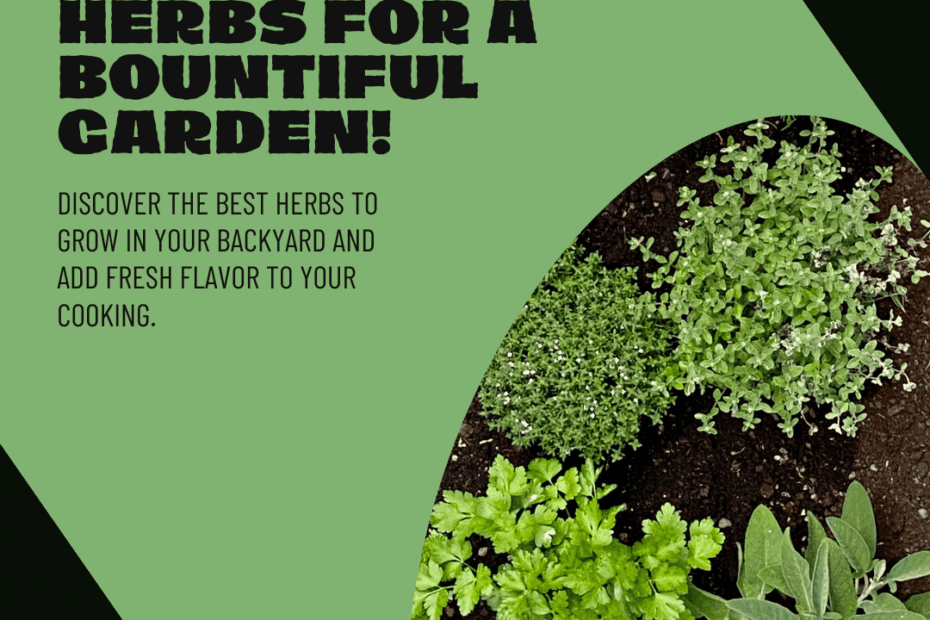 The Best Herbs To Plant In A Garden