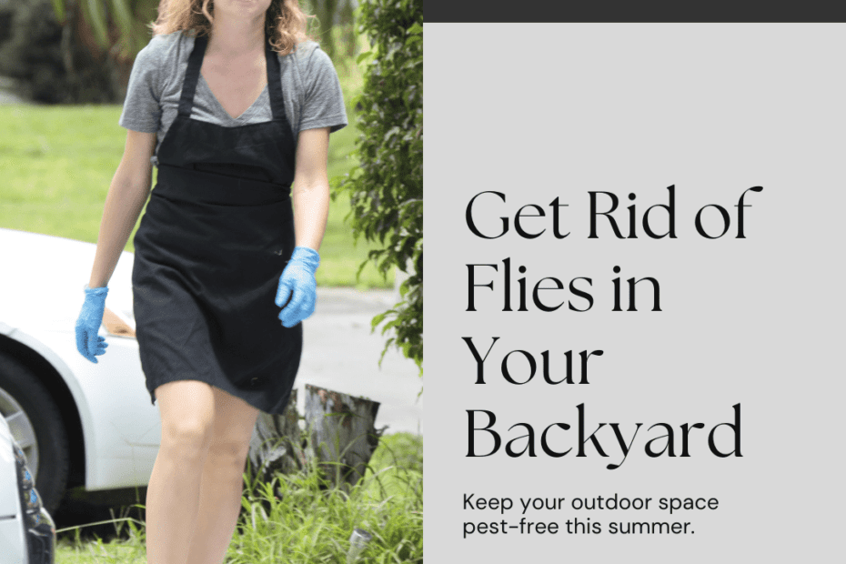 How To Get Rid Of Flies In Backyard
