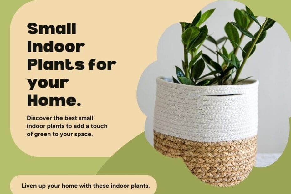 Best Small Indoor Plants
