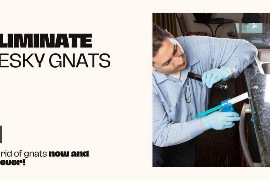 how do i get rid of fungus gnats