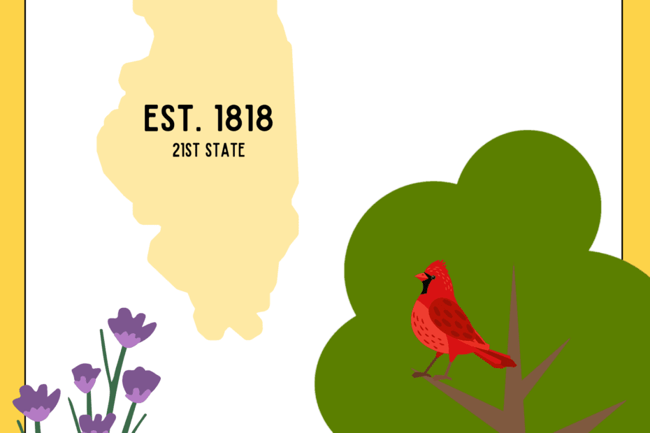 Unique Things To See In Illinois