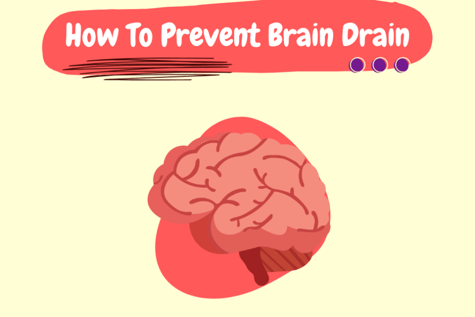 How To Prevent brain drain